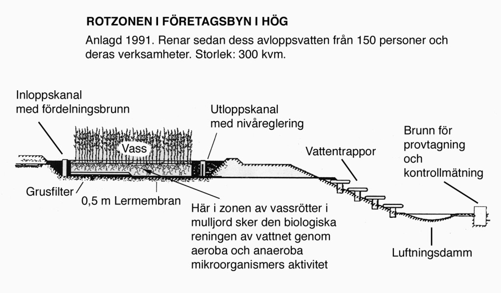 Rotzon-Stor